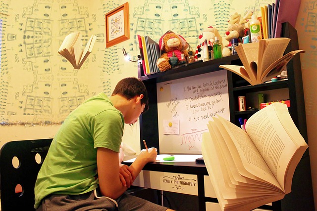 studying-g58fc0dbb6_640-2023-02-24.jpg